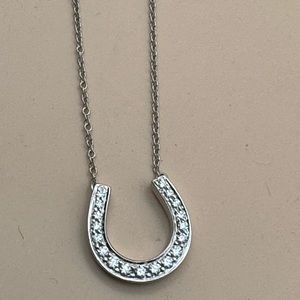 “Tiffany” platinum and diamond 17 inch horseshoe necklace.